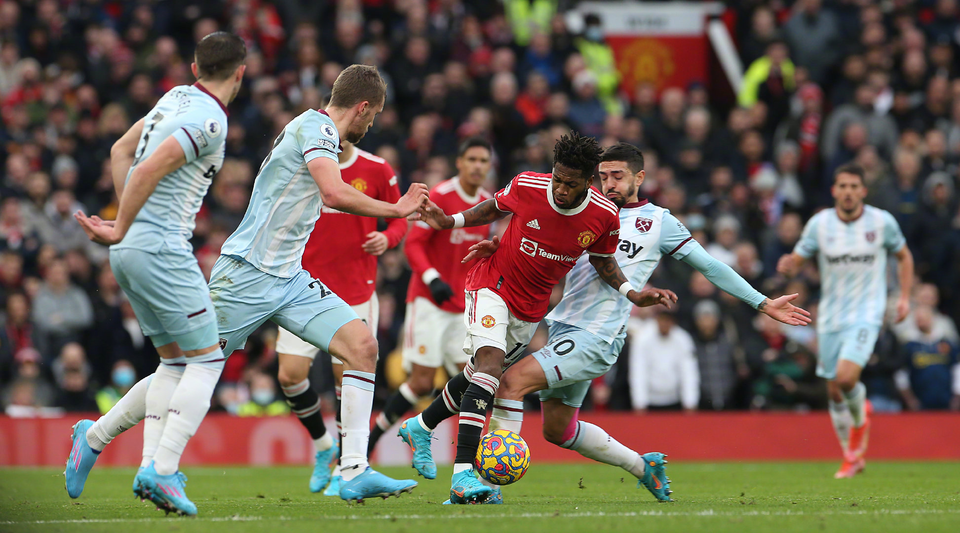 看到他在伊 看到他在伊